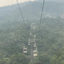 茶畑が広がり、台北市を一望できます