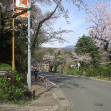 八幡山公園