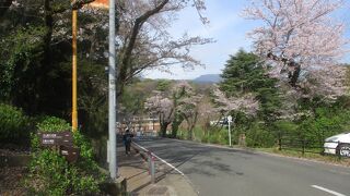 八幡山公園