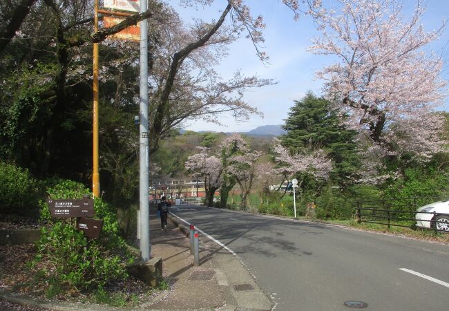 八幡山公園