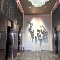 エレベーターホール