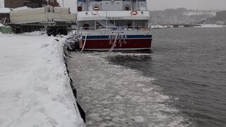 流氷を見る