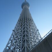 東京を一望