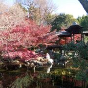 東本願寺の飛地庭園