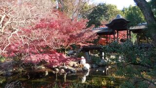 東本願寺の飛地庭園