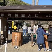 第80回熱海梅園梅まつり