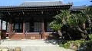 ソテツが見どころよ