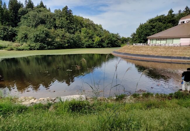 杜々の森名水公園