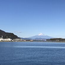 朝、冷えたので綺麗に見えました