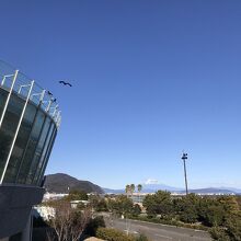 本当はアクアスの屋上テラスから写したかったのですが。。