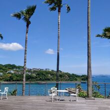 青い海原が眩しい