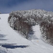 志賀高原焼額山スキー場