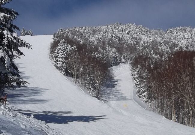 志賀高原焼額山スキー場