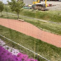 芝と遊歩道が整備されていました。