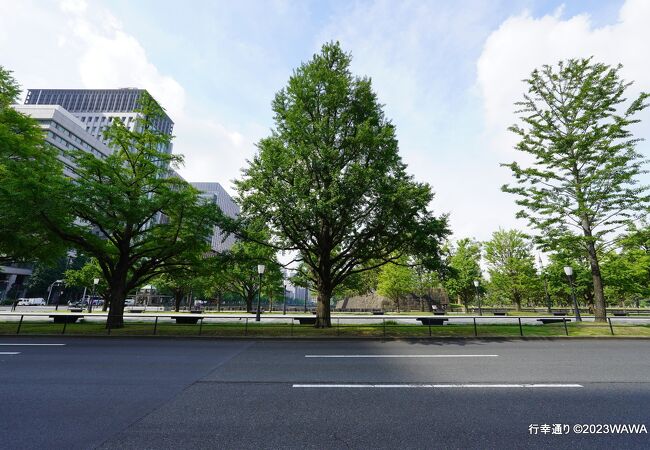 普段は東京駅を正面に記念撮影する人などで賑わった道です