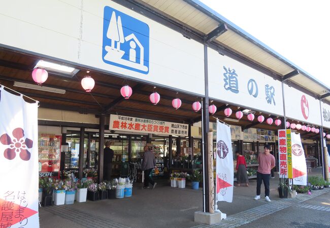 道の駅 桃山天下市