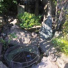 《泉岳寺》首洗い井戸