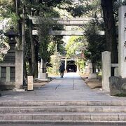 社殿は第8代将軍「徳川吉宗」の命により建立され、随所に江戸の雰囲気が感じられる神社です。