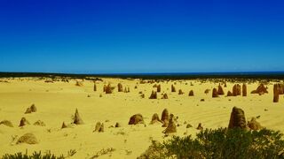 外せないスポット