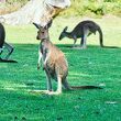 ヤンチャップ国立公園