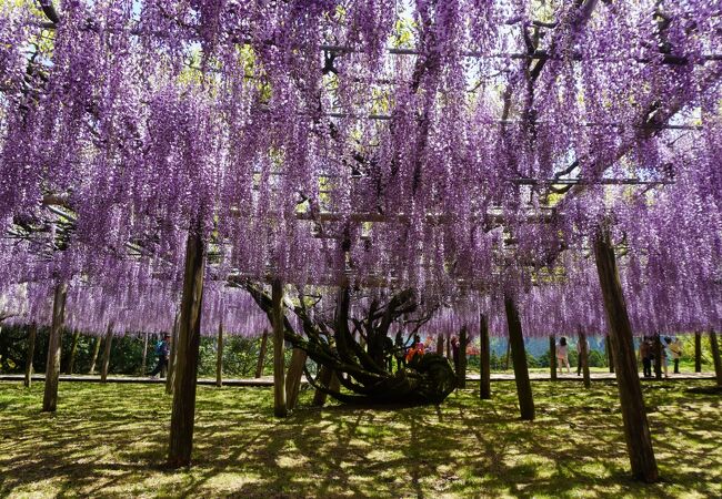 「俺も何か一つこの世に生きた証を残したい」という小学生の頃の夢を実現した施設