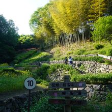 白野江植物公園