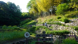 白野江植物公園