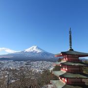 塔と富士山の絶景コラボ