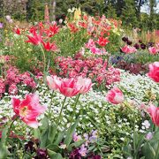 大きな花壇が圧巻　里山ガーデン