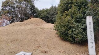 飛鳥へ行くなら