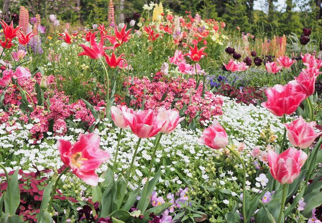 大きな花壇が圧巻　里山ガーデン