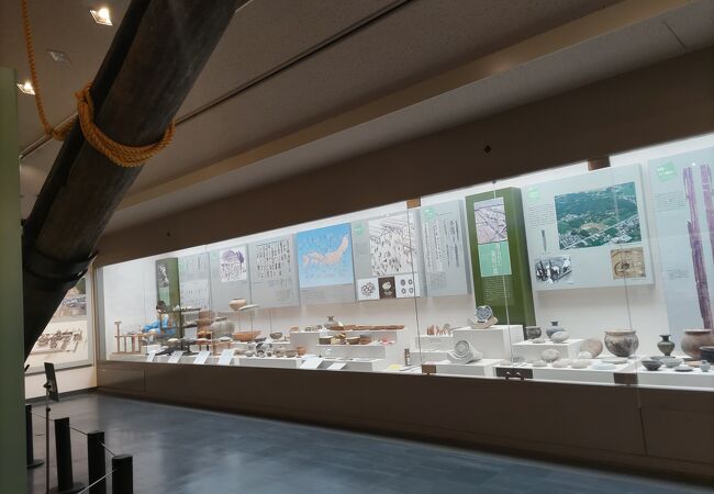 奈良文化財研究所史料第96冊『飛鳥・藤原宮出土墨書土器集成Ⅰ