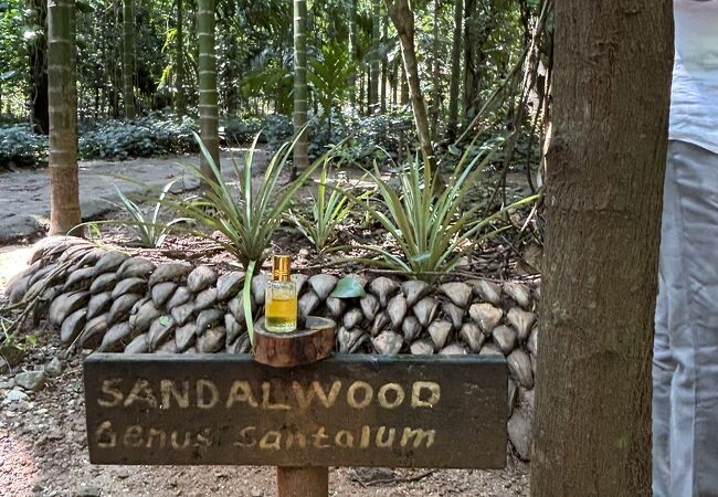 ラックグローヴ