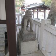 中野散策(1)上高田で鎧神社に寄り狛犬型庚申塔を見ました