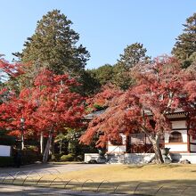 能仁寺 (能仁寺庭園)