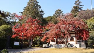 能仁寺 (能仁寺庭園)