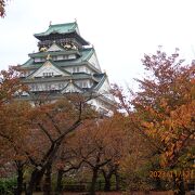 天守閣などが有名な大阪城址を含む一帯が大阪城公園