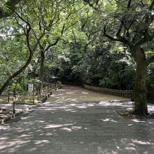 城山自然遊歩道