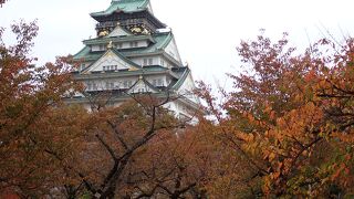 天守閣などが有名な大阪城址を含む一帯が大阪城公園