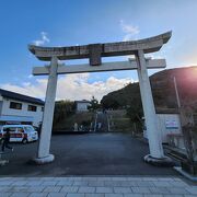 ウサギがあちこちに～白兎神社