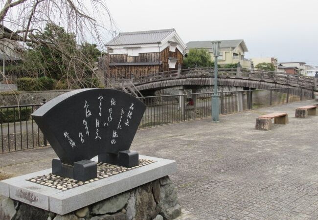 放生川沿いはお散歩コースよ
