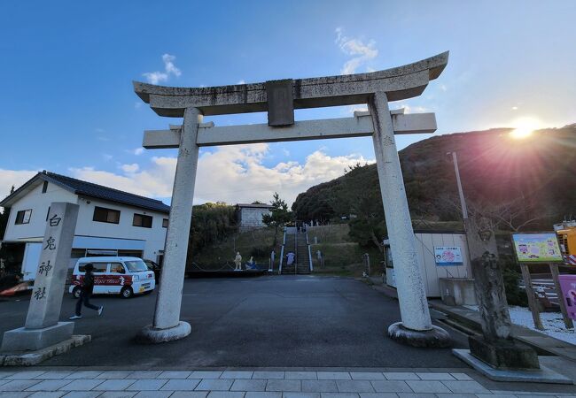 ウサギがあちこちに～白兎神社