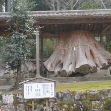 宇奈岐日女神社