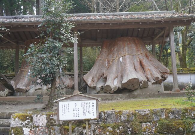 宇奈岐日女神社