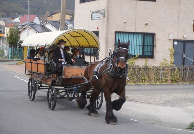 観光辻馬車