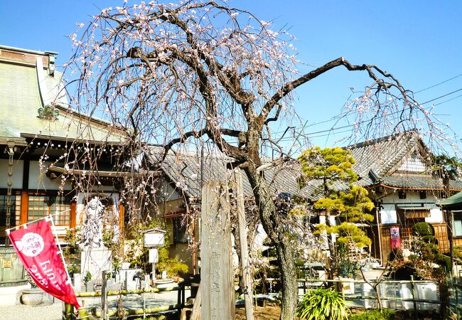 妙法寺