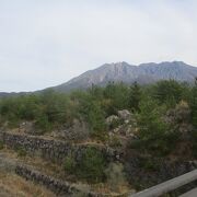 鹿児島に来たからには外せません