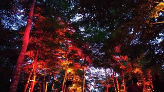 空気神社