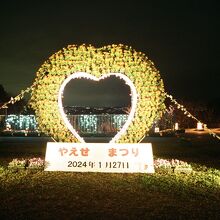 やえせ桜まつりにて、ライトアップの風景。 