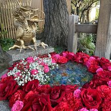 新潟総鎮守 白山神社